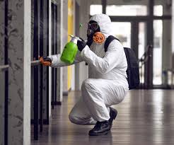 Best Asbestos and Lead Testing During Mold Inspection  in Cherry Valley, CA